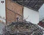 Capi_Dubne_20250408_175003.jpg