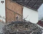 Capi_Dubne_20250408_175503.jpg