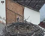 Capi_Dubne_20250408_180003.jpg