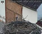 Capi_Dubne_20250408_180503.jpg