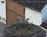 Capi_Dubne_20250408_181003.jpg