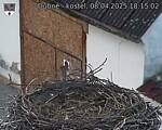 Capi_Dubne_20250408_181502.jpg