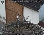 Capi_Dubne_20250408_182503.jpg