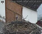 Capi_Dubne_20250408_183003.jpg