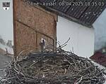 Capi_Dubne_20250408_183503.jpg