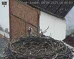 Capi_Dubne_20250408_184003.jpg