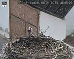 Capi_Dubne_20250408_184503.jpg