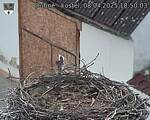 Capi_Dubne_20250408_185003.jpg