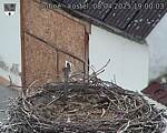 Capi_Dubne_20250408_190003.jpg