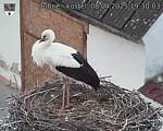 Capi_Dubne_20250408_193003.jpg