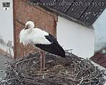 Capi_Dubne_20250408_193503.jpg