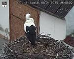 Capi_Dubne_20250408_194002.jpg