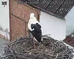 Capi_Dubne_20250408_194503.jpg