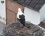 Capi_Dubne_20250408_195003.jpg