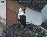 Capi_Dubne_20250408_195502.jpg