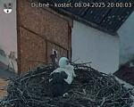 Capi_Dubne_20250408_200003.jpg