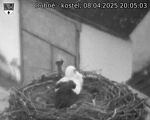 Capi_Dubne_20250408_200503.jpg