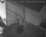 Capi_Dubne_20250408_202502.jpg