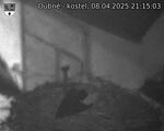 Capi_Dubne_20250408_211503.jpg