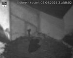 Capi_Dubne_20250408_215002.jpg