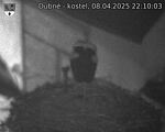 Capi_Dubne_20250408_221003.jpg