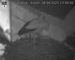 Capi_Dubne_20250408_230002.jpg