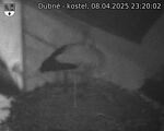 Capi_Dubne_20250408_232002.jpg
