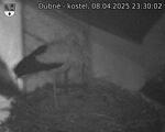 Capi_Dubne_20250408_233002.jpg
