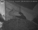 Capi_Dubne_20250408_234003.jpg