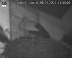 Capi_Dubne_20250408_235503.jpg