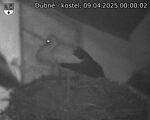 Capi_Dubne_20250409_000002.jpg