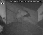 Capi_Dubne_20250409_004003.jpg