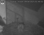 Capi_Dubne_20250409_014002.jpg