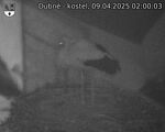 Capi_Dubne_20250409_020003.jpg