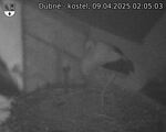 Capi_Dubne_20250409_020503.jpg