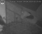 Capi_Dubne_20250409_022502.jpg
