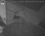 Capi_Dubne_20250409_033002.jpg