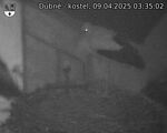 Capi_Dubne_20250409_033502.jpg