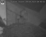 Capi_Dubne_20250409_044002.jpg