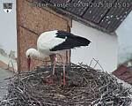 Capi_Dubne_20250409_082503.jpg
