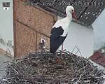 Capi_Dubne_20250409_083003.jpg