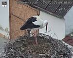Capi_Dubne_20250409_093003.jpg