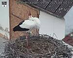Capi_Dubne_20250409_095003.jpg