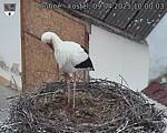 Capi_Dubne_20250409_100003.jpg