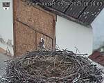 Capi_Dubne_20250409_101003.jpg