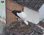 Capi_Dubne_20250409_101503.jpg