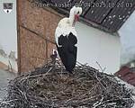 Capi_Dubne_20250409_102003.jpg