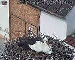 Capi_Dubne_20250409_113503.jpg