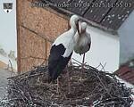 Capi_Dubne_20250409_115503.jpg