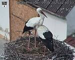 Capi_Dubne_20250409_124003.jpg